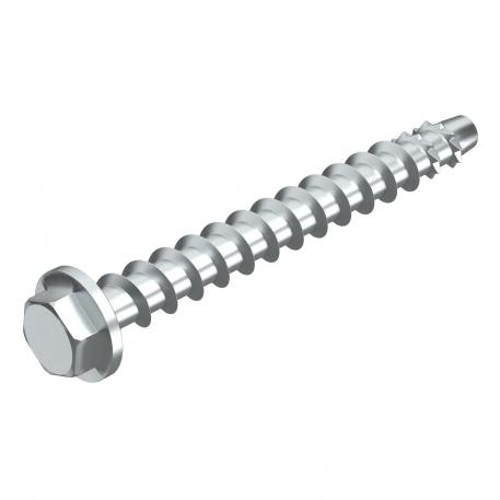 Sešstūru enkurskrūve MMS-plus SS 10x100, ar presēto disku 100 | 10 x 100 | 8 | 19 | 13 | sešstūra (heksagonāls)